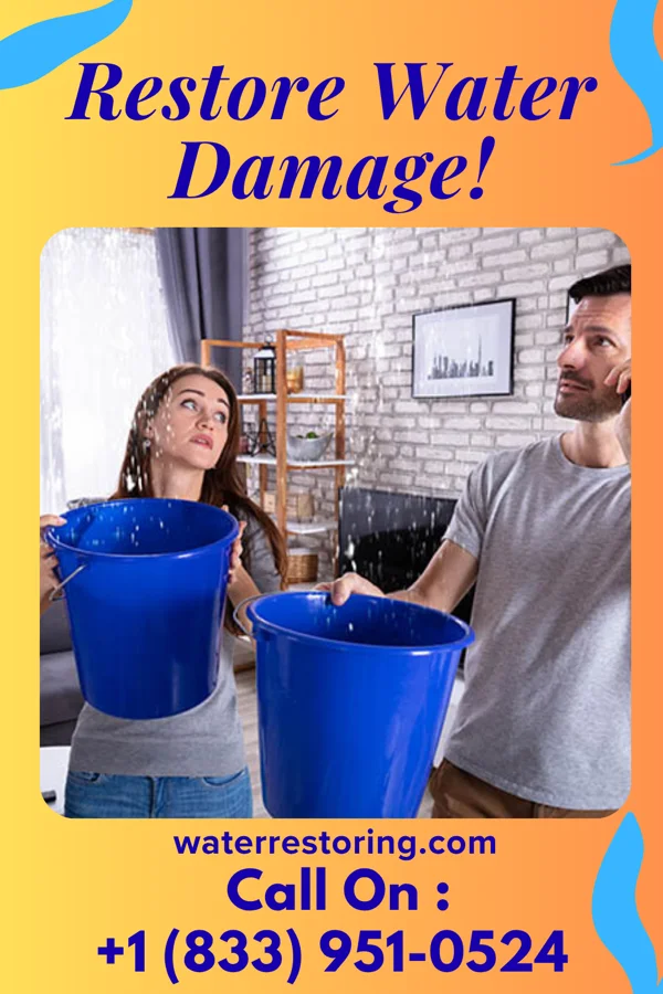 water restoration Local Damage Recovery Services Springfield