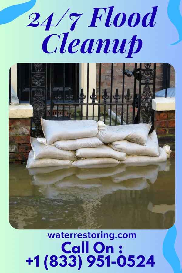 24/7 Flood Cleanup in Springfield, MI