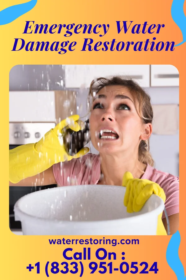 Emergency Water Damage Restoration in Springfield, MI