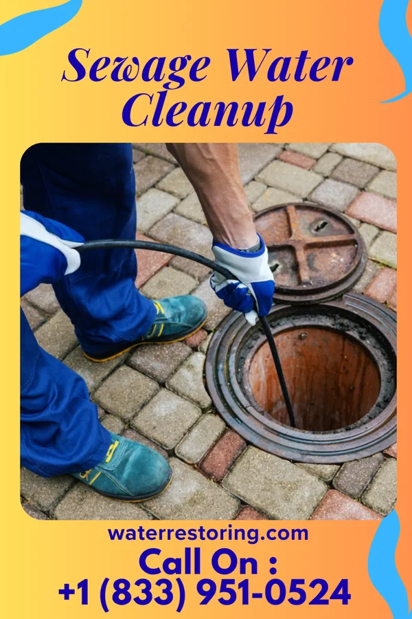 Sewage Water Cleanup in Springfield, MI